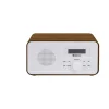 DAB+ PLL FM Radio