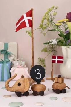 Fødselsdagstog