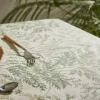 Helechos Dug