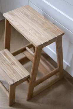 Indoor/Outdoor Trappestige