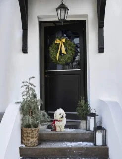 Juletræ
