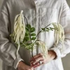 Kunstig blomst - Reed stilk