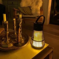 LED Flame Speaker