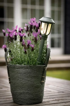 LED Solar Fakkel