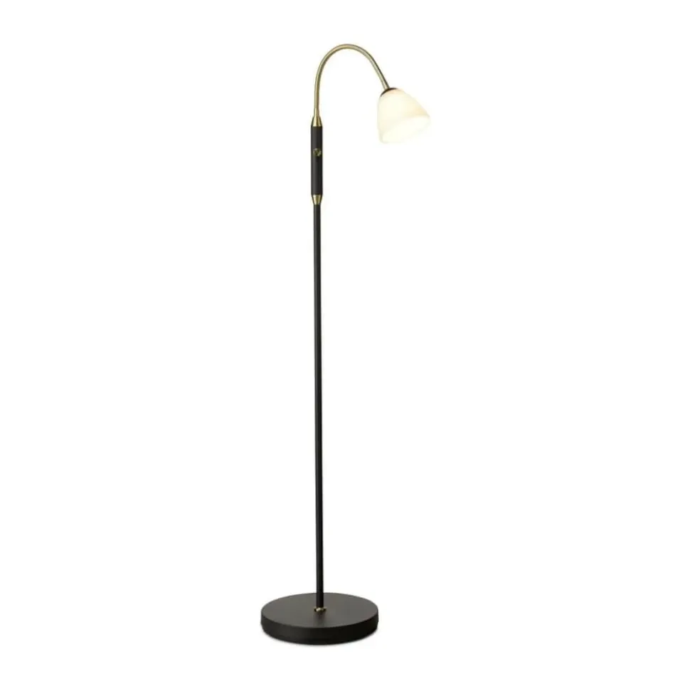 Lucid LED Gulvlampe