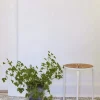 Marguerit Taburet