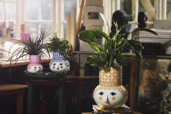 Olga Vase