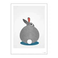Plakat - Kanin