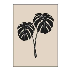Plakat - Monstera Deliciosa