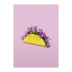 plakat - Flower taco
