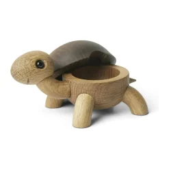 Skildpaddeunge Speedy